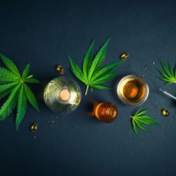 How To Choose Quality Cannabis Products